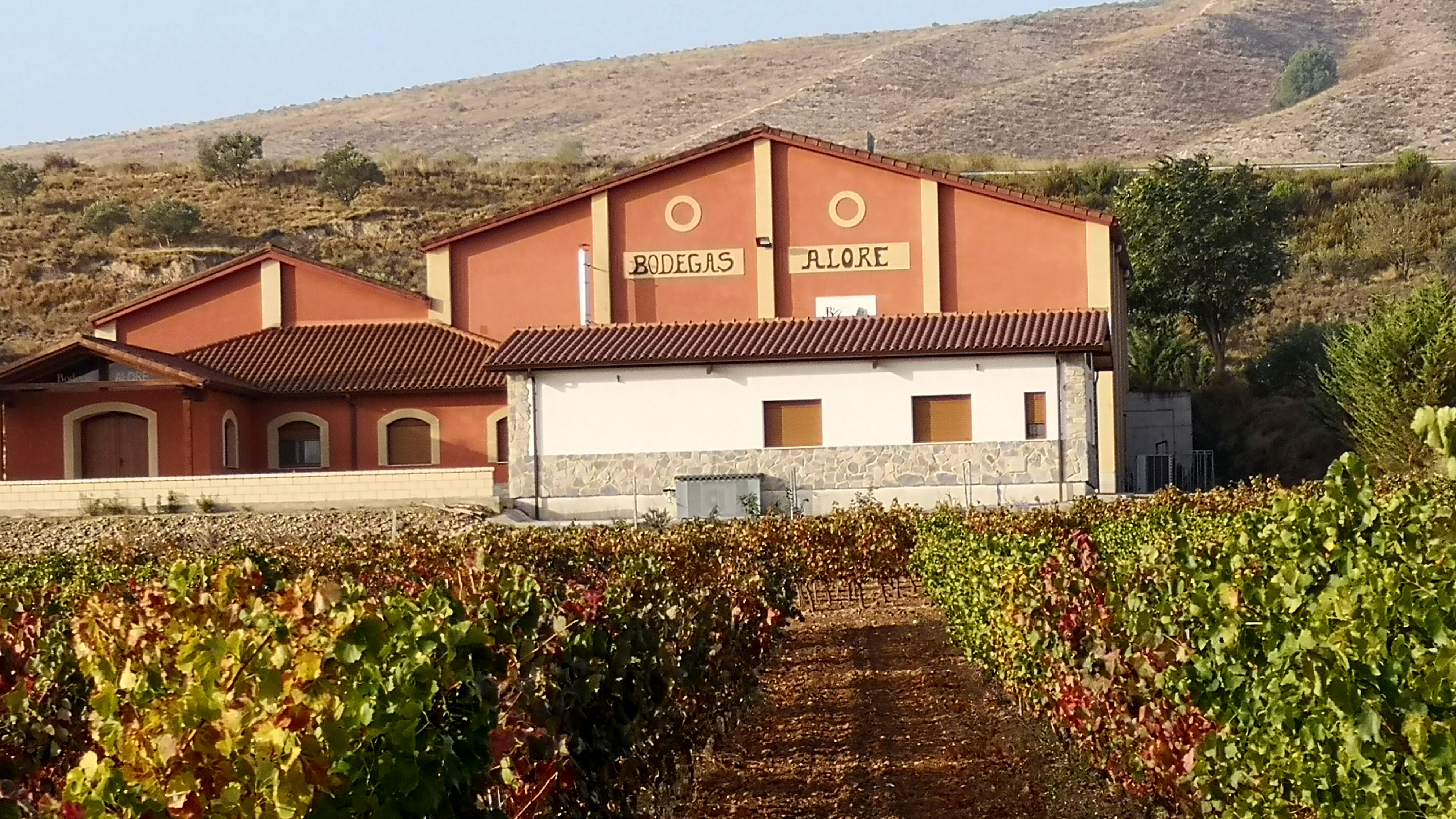 Visita bodega con degustación